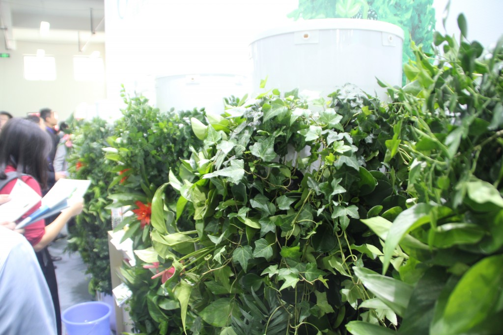 yunqi02